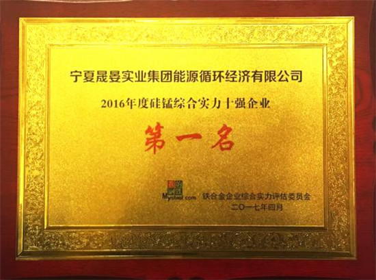 2016年度硅锰综合实力十强企业第一名